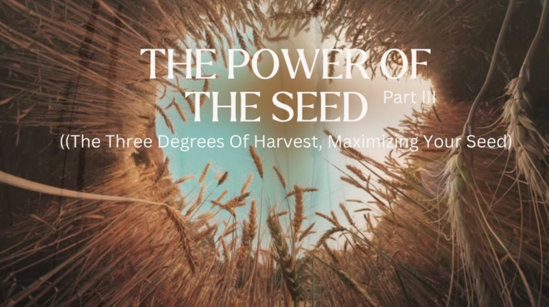 The Power Of The Seed, Part III (The Three Degrees Of Harvest, Maximizing Your Seed)