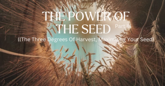 The Power Of The Seed, Part III (The Three Degrees Of Harvest, Maximizing Your Seed)