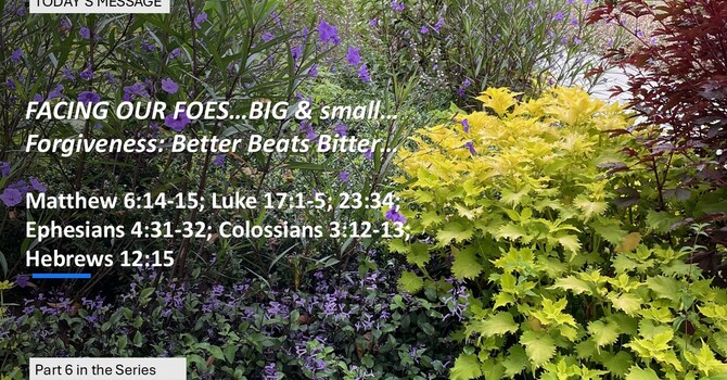 "Forgiveness: Better Beats Bitter"