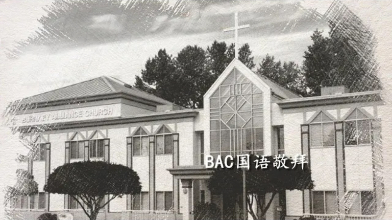在主里结果子