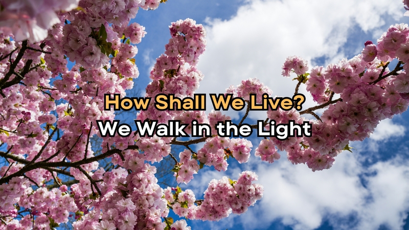 We Walk in the Light