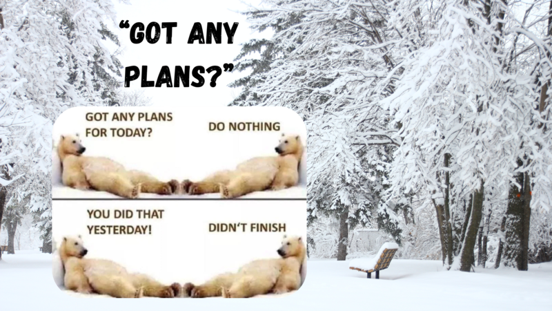 Got Any Plans