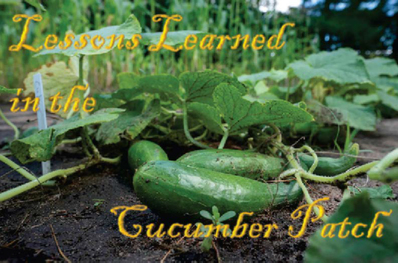 Lessons Learned in the Cucumber Patch