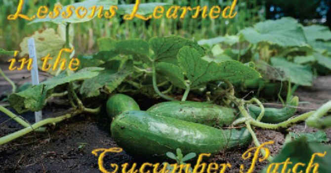 Lessons Learned in the Cucumber Patch