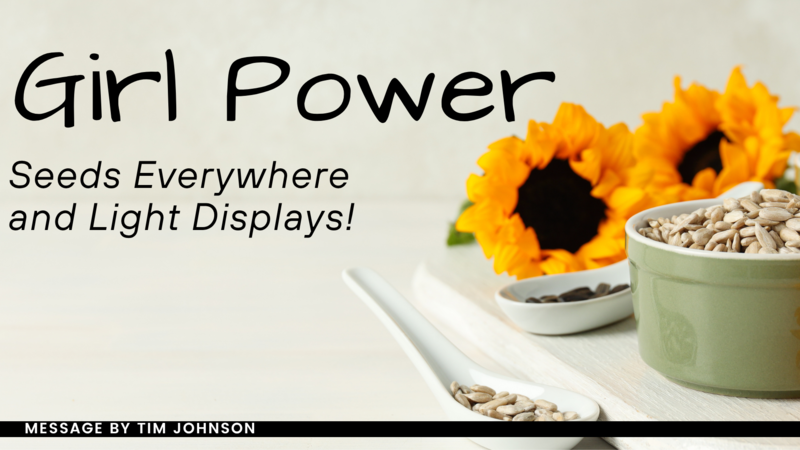 Girl Power, Seeds Everywhere, and Light Displays!