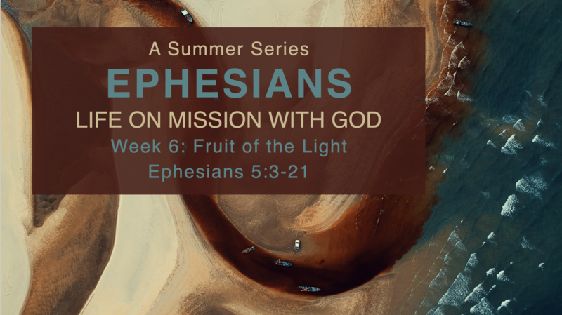 Fruit of the Light