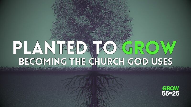 We Grow Best When We Grow Together