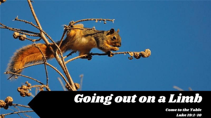 Going Out On A Limb