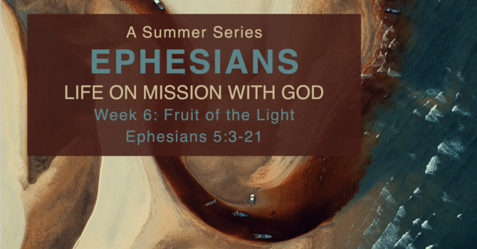 Fruit of the Light