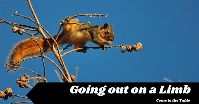Going Out On A Limb