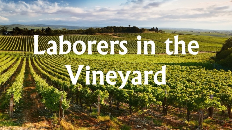 Laborers in the Vineyard