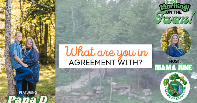 "What are you in agreement with?" image