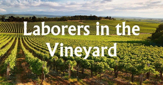 Laborers in the Vineyard