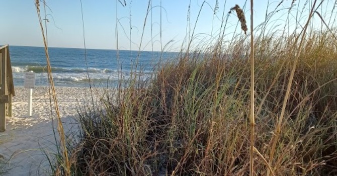 Gulf Pines AA