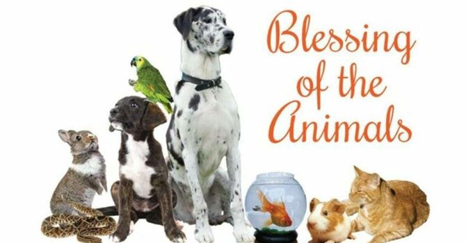Pet Blessing