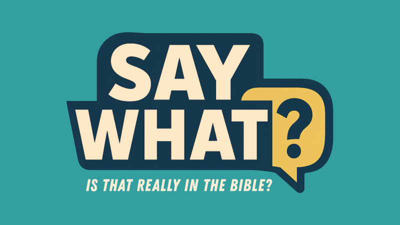 Say What: Do not Judge, or you will be Judged