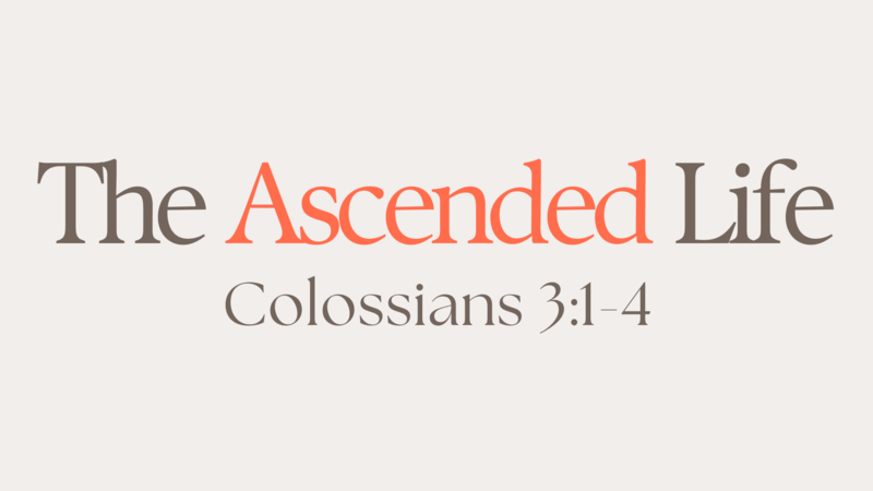 The Ascended Life