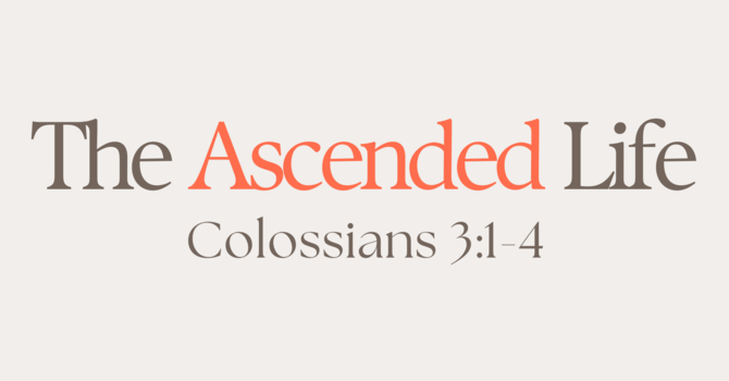 The Ascended Life