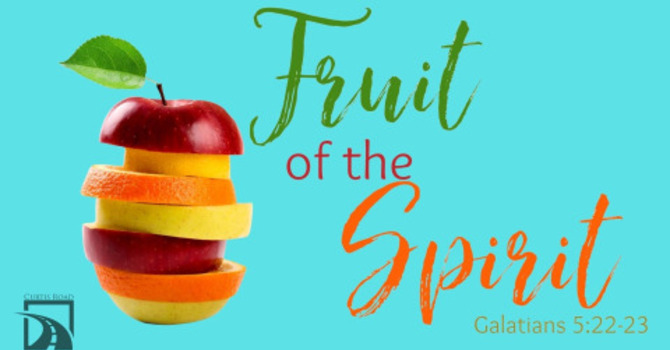 Fruit of the Spirit - Wk 5 Patience 