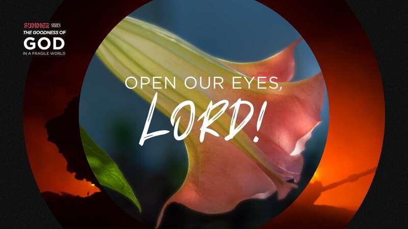 OPEN OUR EYES, LORD!