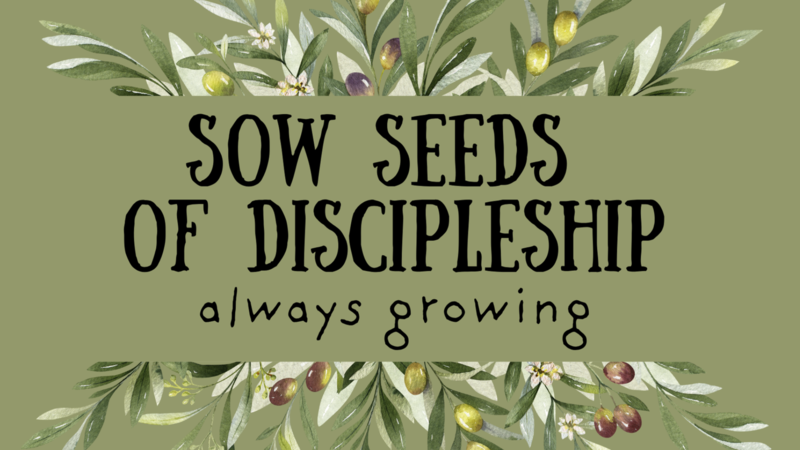 Sermon 7/27/25