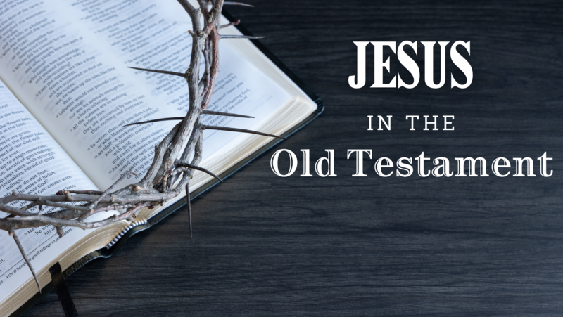 Jesus in the Psalms - Psalms 22