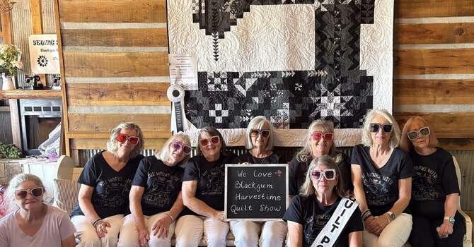 Annual Quilts of Past & Present Quilt Show image