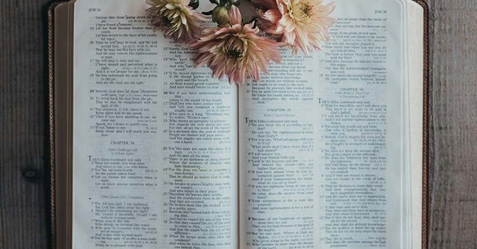 What's Cookin' Bible Study 