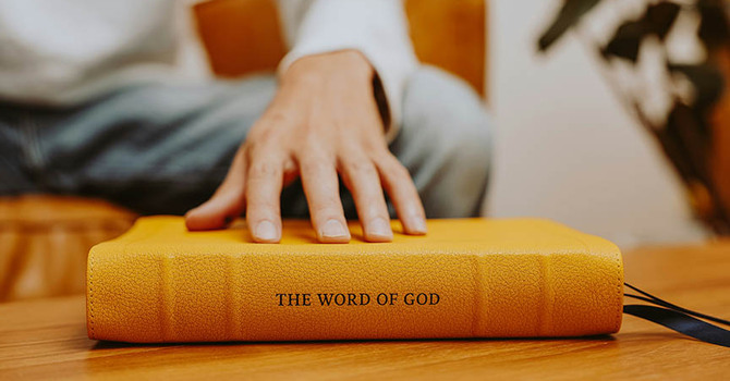 New Elder Bible Study