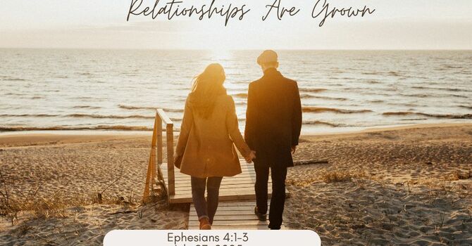Where Healthy Relationships Are Grown