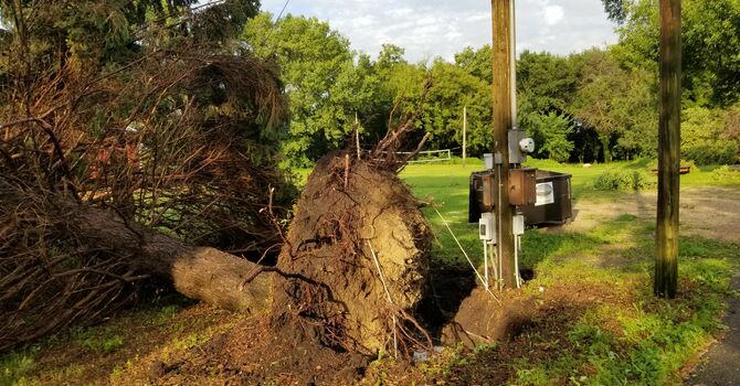 Wind Damage at Living Rock Church World Headquarters