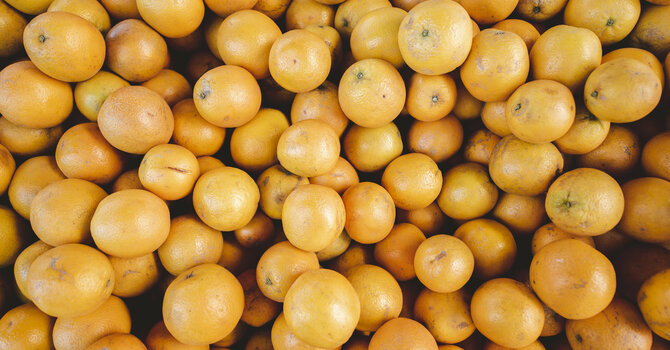 Food Pantry Ministry continues to grow image