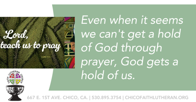 7th Sunday after Pentecost