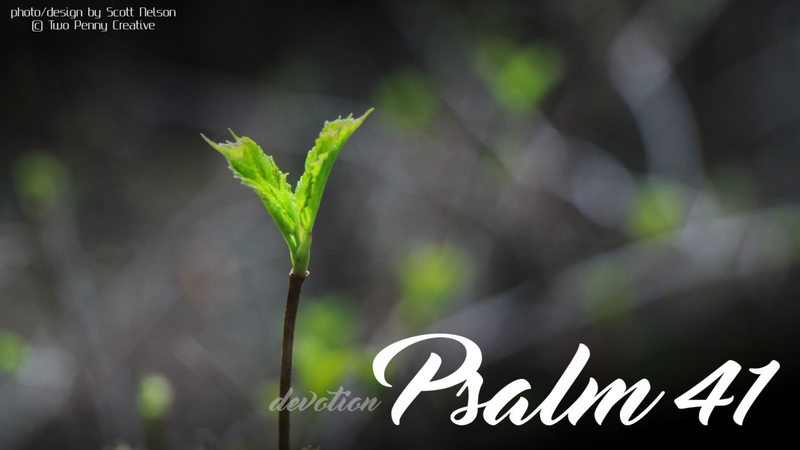 Psalm 41
