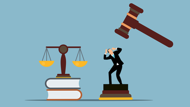 The Law Expert