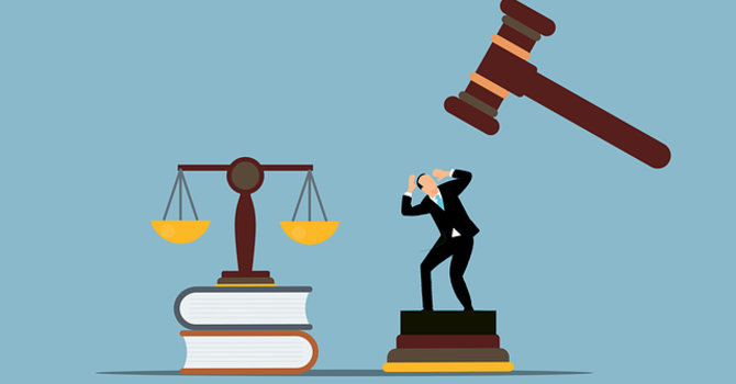 The Law Expert