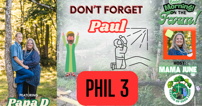 Don't Forget Paul - Philippians 3 image