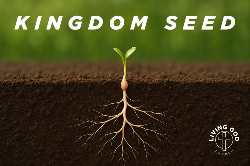 Kingdom Seed