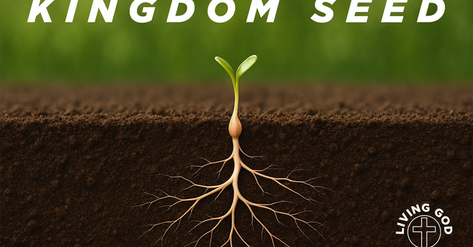 Kingdom Seed