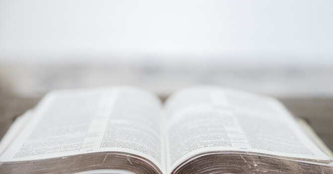 Seedline South Bible Assembly Project