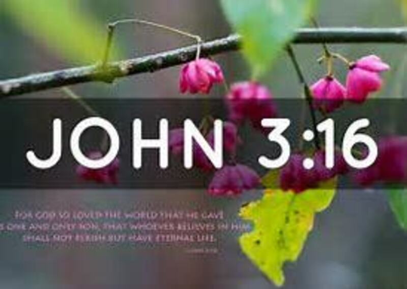 Fourth Sunday in Lent 2018