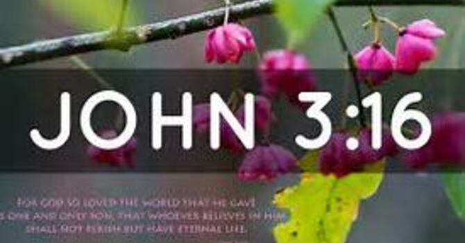 Fourth Sunday in Lent 2018