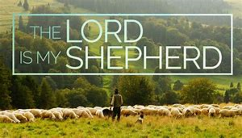 Fourth Sunday of Easter 2018