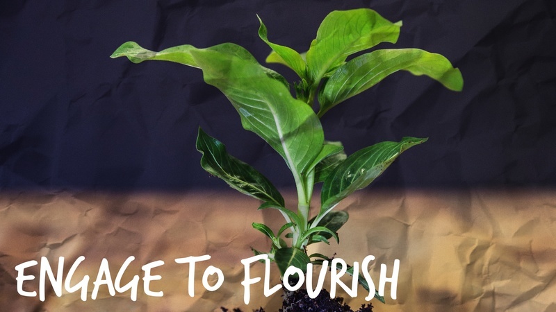 Ep. 170 Raising The Floor