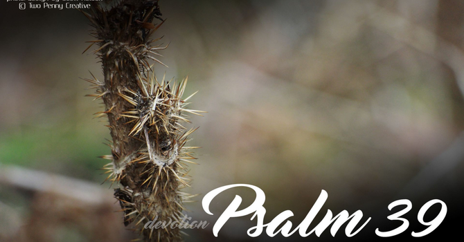 Psalm 39