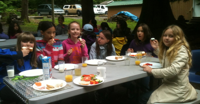 Tri-Parish Picnic at Hume Park image