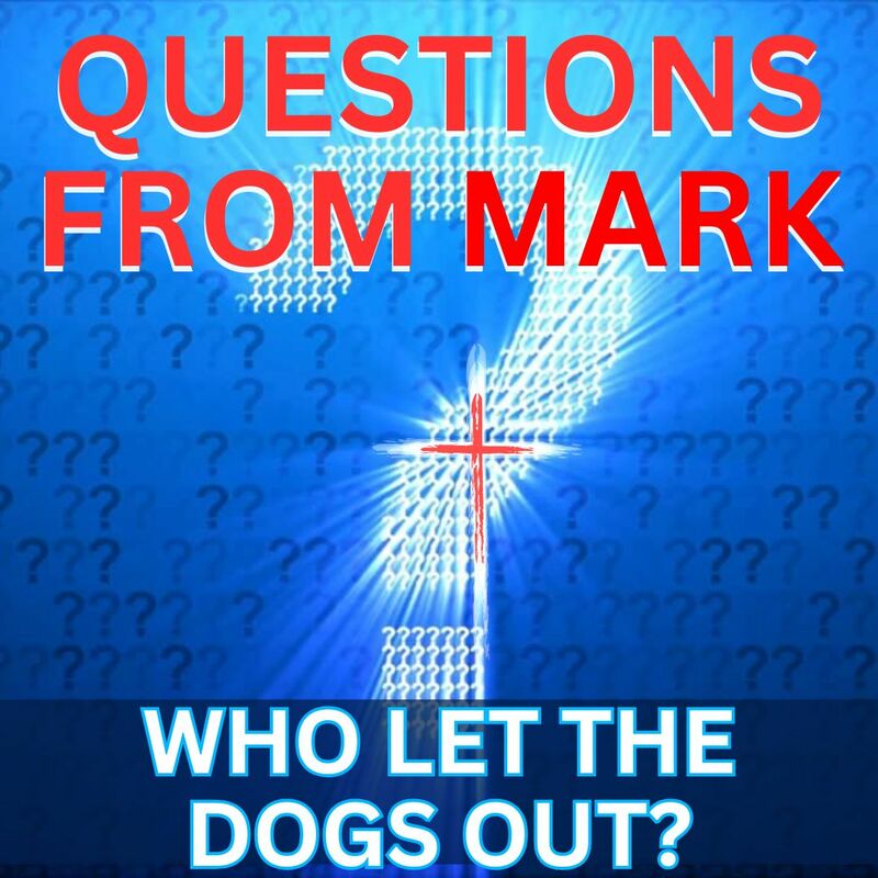 QUESTIONS FROM MARK: WHO LET THE DOGS OUT?