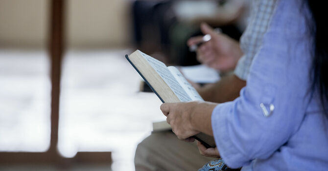 Book Study