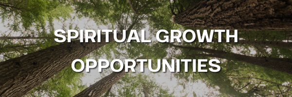 Interested In Spiritual Direction?