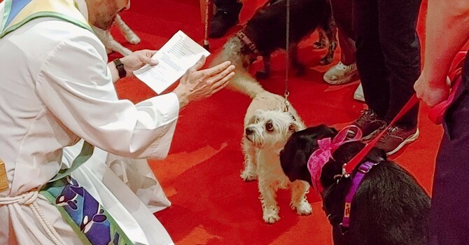Blessing of the Animals 